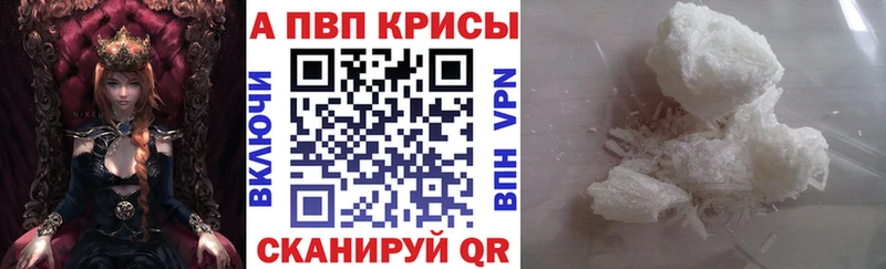 APVP СК Кохма