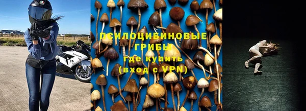 ешки Краснослободск