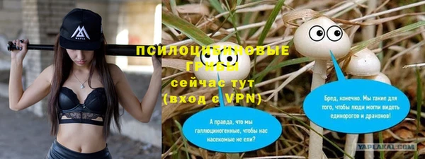 дурь Абинск