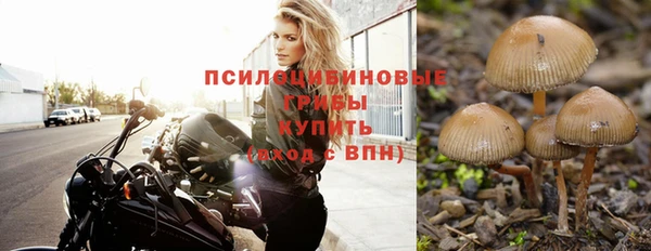 марки nbome Алзамай