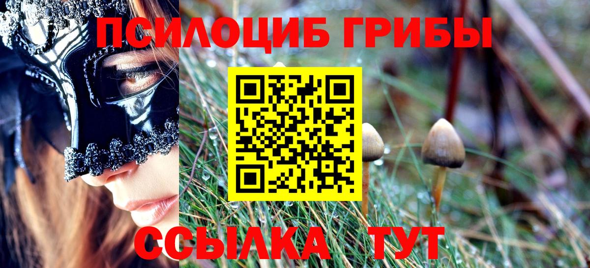 Псилоцибиновые грибы прущие грибы Кохма